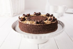 Light and dark biscuit cake with hazelnut butter cream