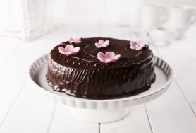 Cream and cocoa sponge cake with cherries, covered with chocolate cream icing